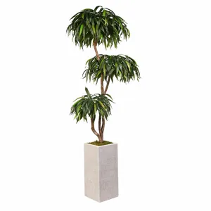 7&prime; Weeping Ficus Tree in Tall Square White Textured Planter