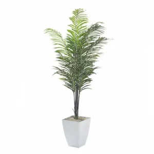 7&prime; Areca Palm in Large White Cardinal Planter