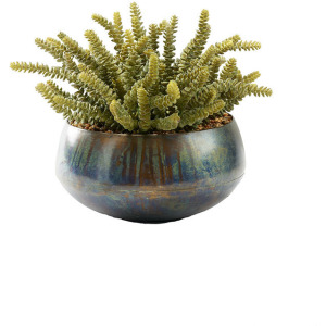Soft Touch Donkey Tail in Rustic Green Sosa Bowl