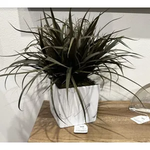 Green Grass in Large Square Marble Ceramic Vase