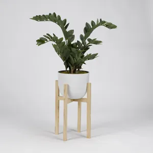 Zamifolia Plant in White Planter w/Wood Stand