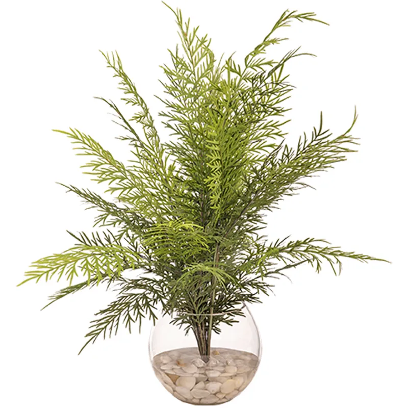 Fern Bundle in Glass Bubble Bowl