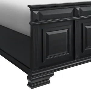 Bridgestone Queen Panel Bed in Black