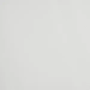 Diedra Dining Side Chair with White Fabric in White (2 Per Carton)