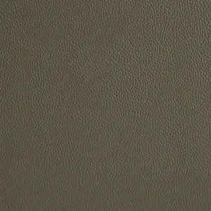 Dryden Motion Sofa In Aviarah Grey