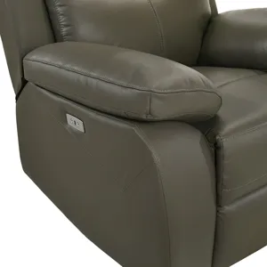 Dryden Power Motion Recliner In Aviarah Grey