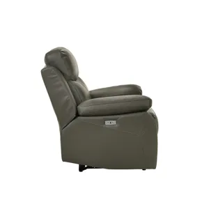 Dryden Power Motion Recliner In Aviarah Grey
