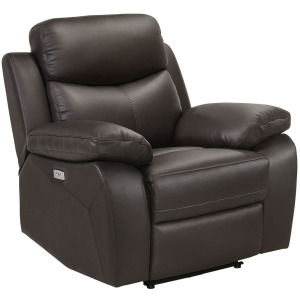 Dryden Power Motion Recliner In Aviarah Brown