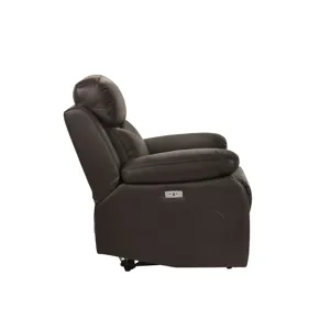 Dryden Power Motion Recliner In Aviarah Brown