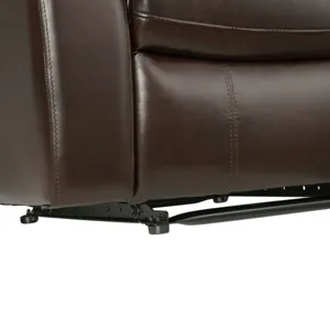 Dylan Power Motion Recliner W/Lift in Tucson Brown