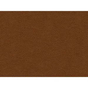 Hampton Sofa in Fiero Tan (Top Grain/PVC)