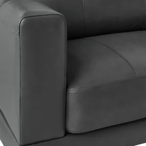 Hampton Sofa in Fiero Charcoal (Top Grain / PVC)