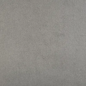 Isadora Side Chair in Light Grey velvet 2 per Pack (3A Packing)