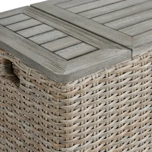 Ollie Cooler Box - Tan