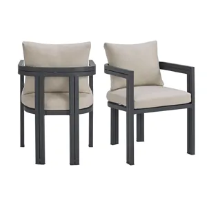 Playa Dining Chair - Dark Grey and Olefin Beige (2 Per Carton)