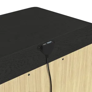 Ridgemont 1-Drawer Nightstand with USB in Black with Grain