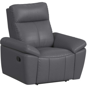 Sago Motion Recliner in Aviarah Navy Blue