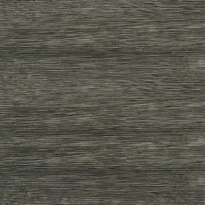 Trey 2-Drawer Nightstand in Grey Wire Brushed