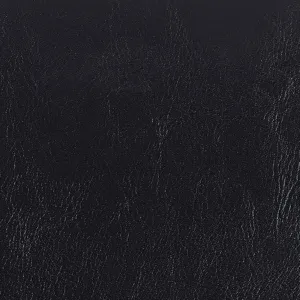 Abby Platform Queen Base Bed Black PU (3A Packing)