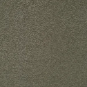 Wildcat Motion Recliner in Aviarah Grey