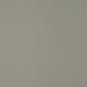 Wildcat Motion Sofa in Aviarah Silver