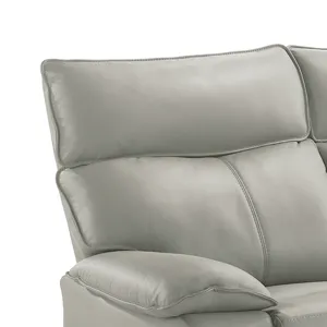 Wildcat Motion Sofa in Aviarah Silver