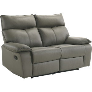 Wildcat Motion Loveseat in Aviarah Grey