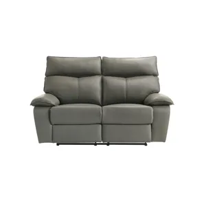 Wildcat Power Motion Loveseat in Aviarah Grey