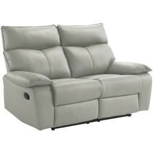 Wildcat Motion Loveseat in Aviarah Silver