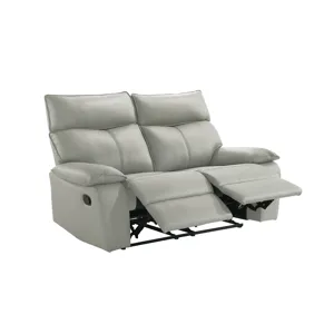 Wildcat Motion Loveseat in Aviarah Silver