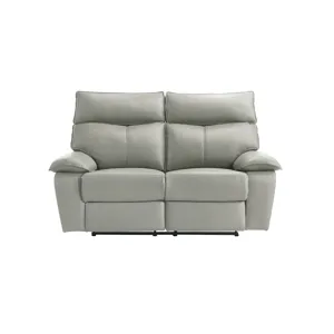 Wildcat Motion Loveseat in Aviarah Silver