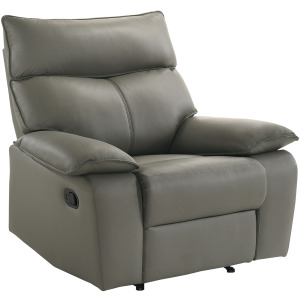 Wildcat Motion Recliner in Aviarah Grey