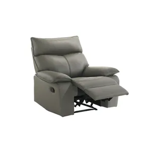 Wildcat Motion Recliner in Aviarah Grey