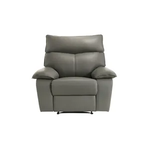 Wildcat Motion Recliner in Aviarah Grey