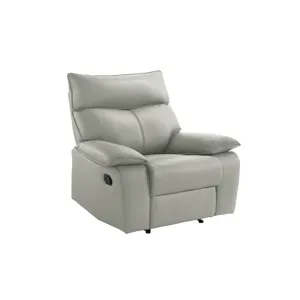 Wildcat Motion Recliner in Aviarah Silver