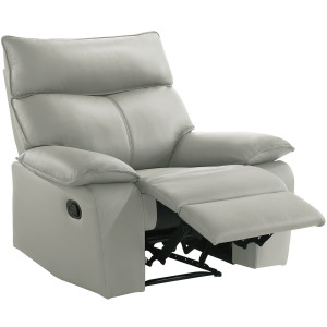 Wildcat Motion Recliner in Aviarah Silver