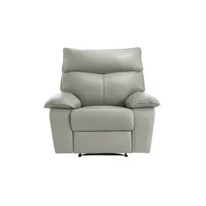 Wildcat Motion Recliner in Aviarah Silver