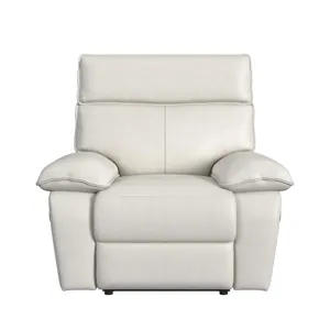 Wildcat Motion Recliner in Aviarah White