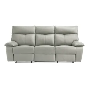 Wildcat Motion Sofa in Aviarah Silver