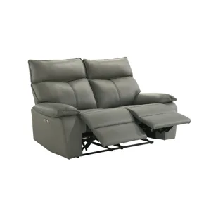 Wildcat Power Motion Loveseat in Aviarah Grey