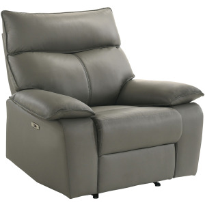 Wildcat Power Motion Recliner in Aviarah Grey