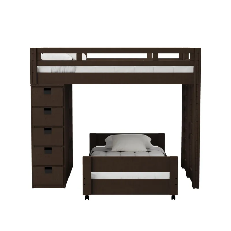 Cali Kids Complete Basic Loft Twin Over Twin Bookcase Bed in Brown