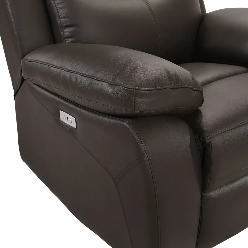 Dryden Power Motion Recliner In Aviarah Brown