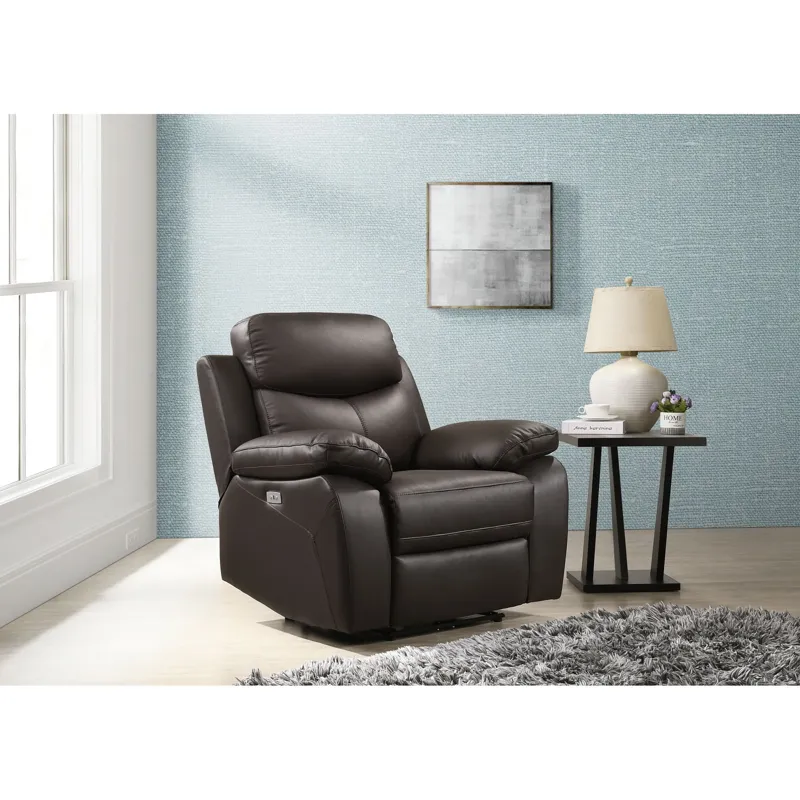 Dryden Power Motion Recliner In Aviarah Brown