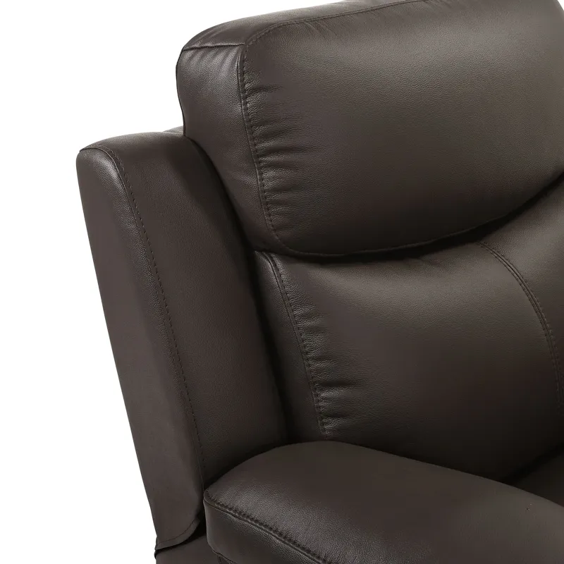 Dryden Power Motion Recliner In Aviarah Brown