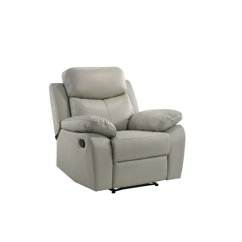 Dryden Power Motion Recliner In Aviarah Silver