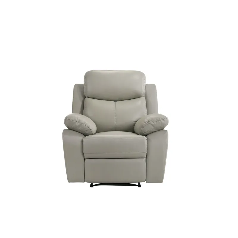 Dryden Power Motion Recliner In Aviarah Silver