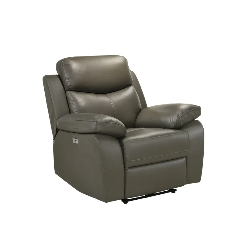 Dryden Power Motion Recliner In Aviarah Grey