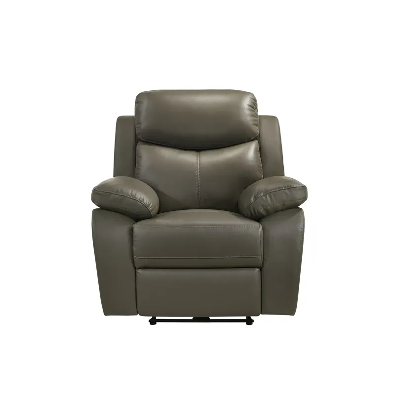 Dryden Power Motion Recliner In Aviarah Grey