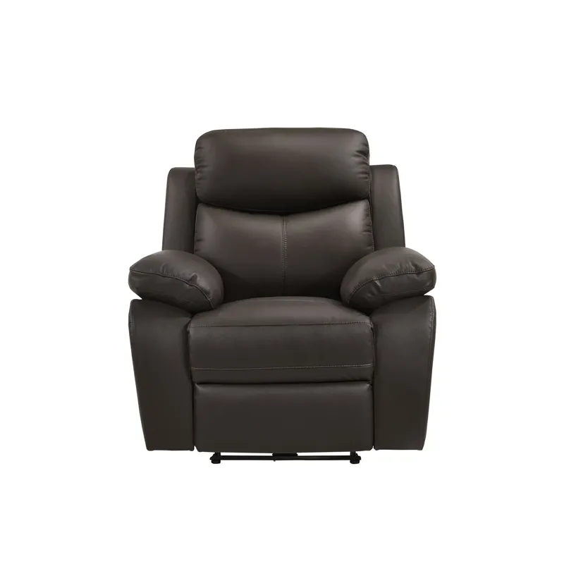 Dryden Power Motion Recliner In Aviarah Brown